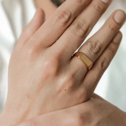 Schlichte Ringe | Hey Happiness Eleganter Arc-Siegelring aus Edelstahl