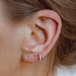 Ohrstecker | Hey Happiness Fächerförmige Helix Ohrringe mit Strasssteinen Sterlingsilber Silver