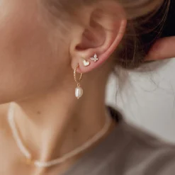 Ohrstecker | Hey Happiness Muschelschale Herz Ohrstecker Veret Gold