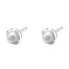 Ohrstecker | Perlenohrringe | Hey Happiness Perle Blütenblatt Ohrstecker aus Sterlingsilber Silver