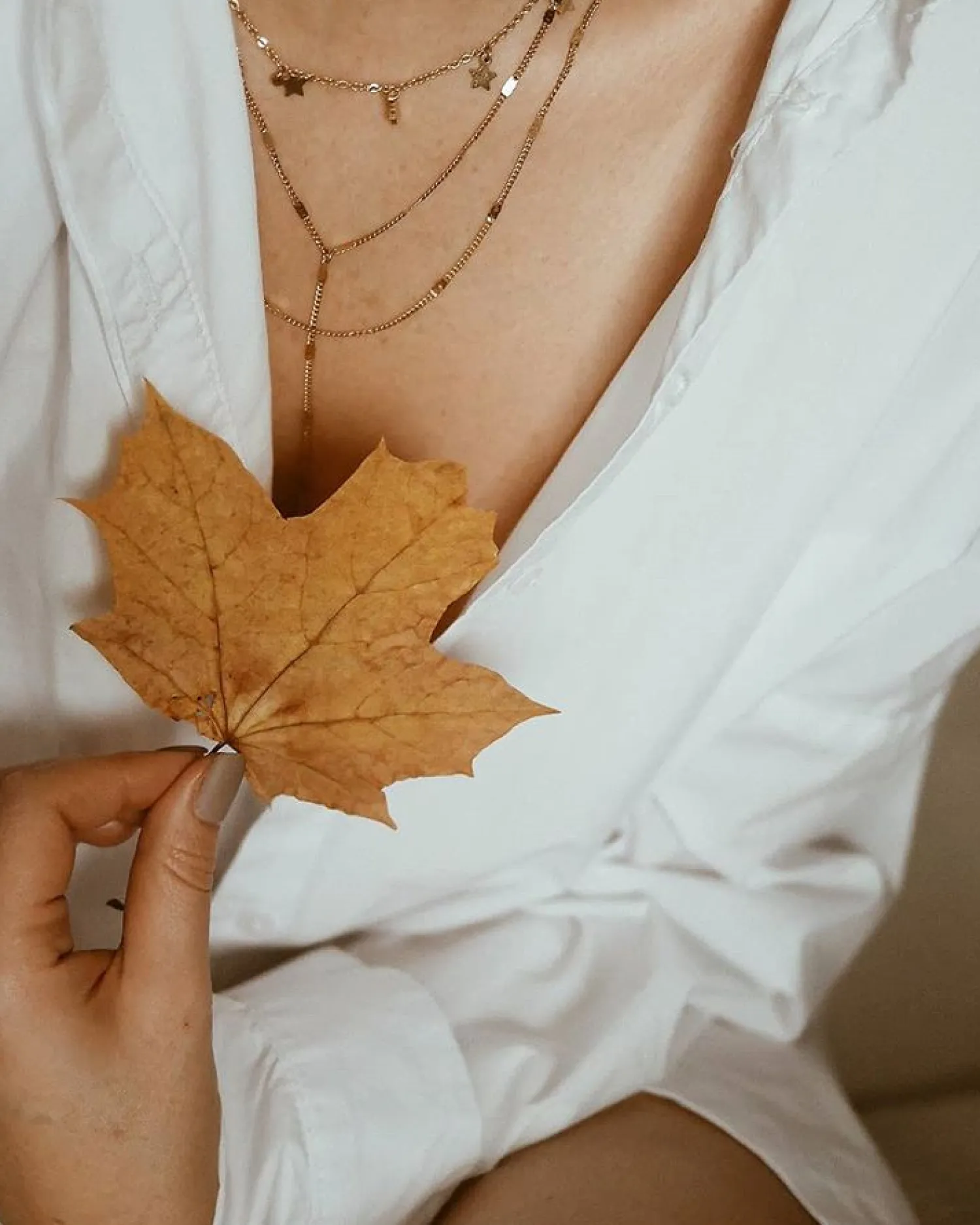 Filigrane Ketten | Hey Happiness Zarte Kette Sterne in farbe Gold